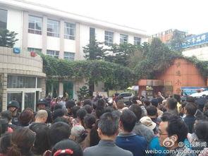 云南小学爆料事件最新,揭开校园安全与管理的隐秘面纱  第1张