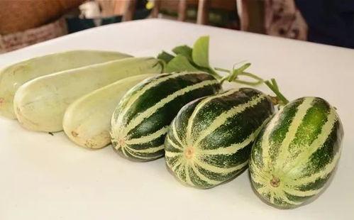 吃免费瓜,共享甜蜜,品味生活 第2张 吃免费瓜,共享甜蜜,品味生活 第2张