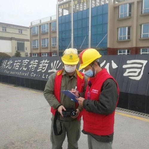 孝昌最新爆料消息视频,视频揭露惊人真相，引人深思  第2张